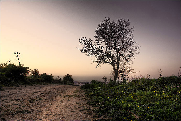 Sur les hauteurs de Gammarth