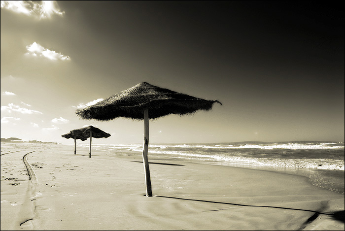 Parasols de Raoued