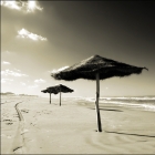 Parasols de Raoued