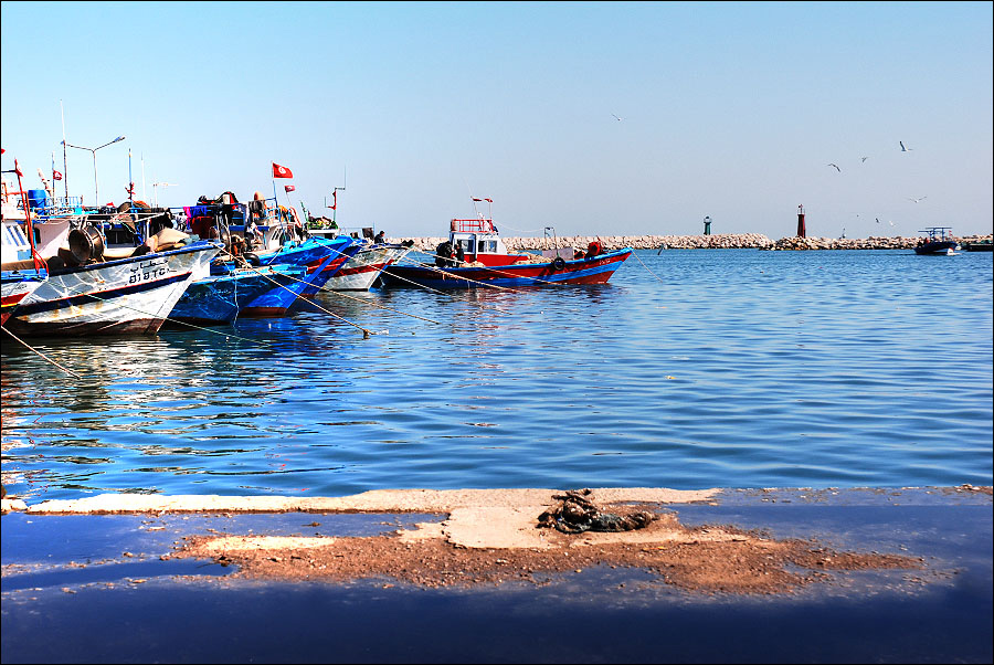 Port de la Goulette