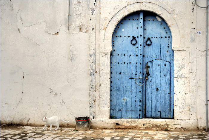 Porte bleue de Sidi bou Sad
